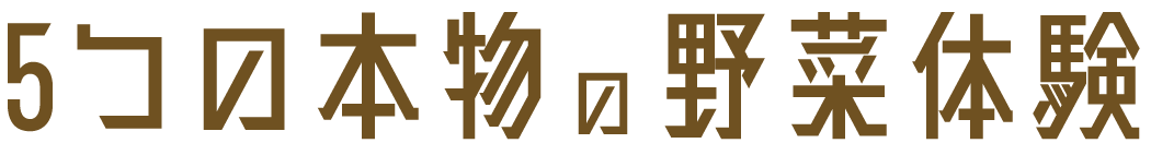 5つの本物の野菜体験